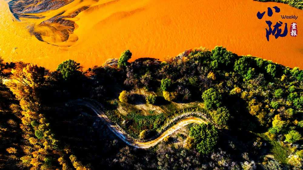 民勤 千頃濕地臥戈壁 續寫生態新畫卷